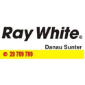 Ray White Danau Sunter