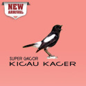 Kicau Kacer Super Gacor