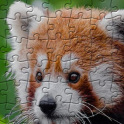 Jigsaw Puzzles