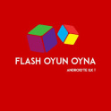 Flash Oyun Oyna