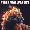 Tigers Wallpapers