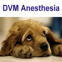 DVM Anesthesiology