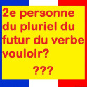 Alb French Verbs - Conjugation offline