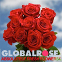 Flowers Delivery by GlobalRose
