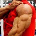 All Triceps exercises