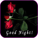 Good Night Messages And wishes Images Gif