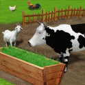 Livestock Fodder Growing Farm