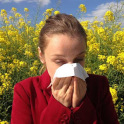 Home Remedy for Allergy