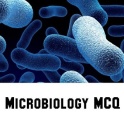 Microbiology Exam MCQ