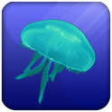 JellyFish Live Wallpaper
