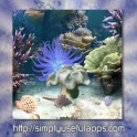 Coral Reef Live WP