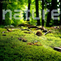 Nature Music ONLINE