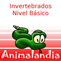 Animalandia Invertebrados 1
