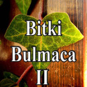 Bitki Bulmaca II