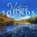 Nature Sounds Relax and Sleep Free with Hypnosis