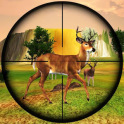 Wild Jungle Animal Hunter 3D