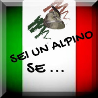 SEI UN ALPINO SE ...