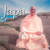 Indradyumna Swami Japa