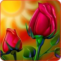 Flower Wallpapers