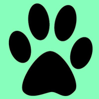 Animal Footprint Wallpapers