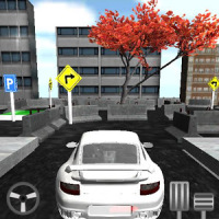 Parking Speed ​​Race 3D