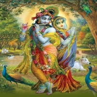 Hare Krishna Pure Bhakti