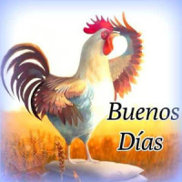 La Radio del Gallo