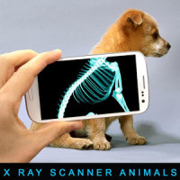 Escáner de Xray Animales broma