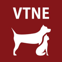 VTNE Practice Test Prep 2020 - Flashcards