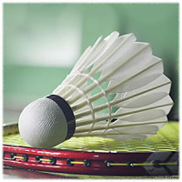 Badminton Sport