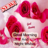 Good Morning and Night Wishes