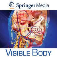 Human Anatomy Atlas - Springer