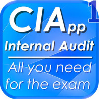 CIApp I. Auditor Course Review