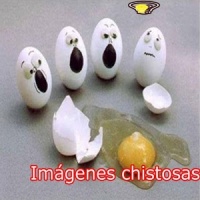 Imagenes chistosas