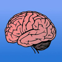 Memory Trainer Brain Challenge