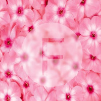 Flowers Xperia Theme