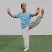 TaiChi 24 Teaching 3(24式太极拳-3）