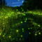 Firefly Live Wallpaper