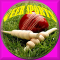 Jayvir Sports & Cricket Daily