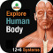free Animated Human body