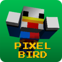 Pixel Bird