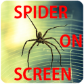 Spider On Screen Prank