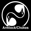 Ninjutsu Armlocks and Chokes