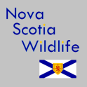 Nova Scotia Wildlife