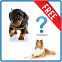 Quiz on breeds of dogs