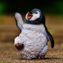 Papel pintado del pingüino