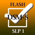 SLP Flash 1