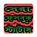 ফেবু স্ট্যাটাস বাছাইকৃত