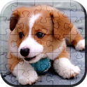 Cute Puppies Tiles Puzzle