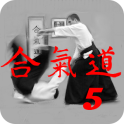 Aikido Fifth Kyu (Free)
